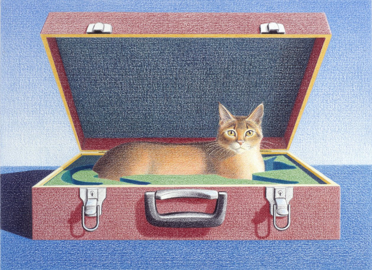 Reisekoffer 2 von Rene Boin