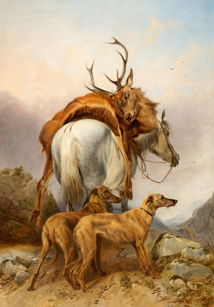 Ein Pony, das ein totes Reh trägt von Richard Ansdell