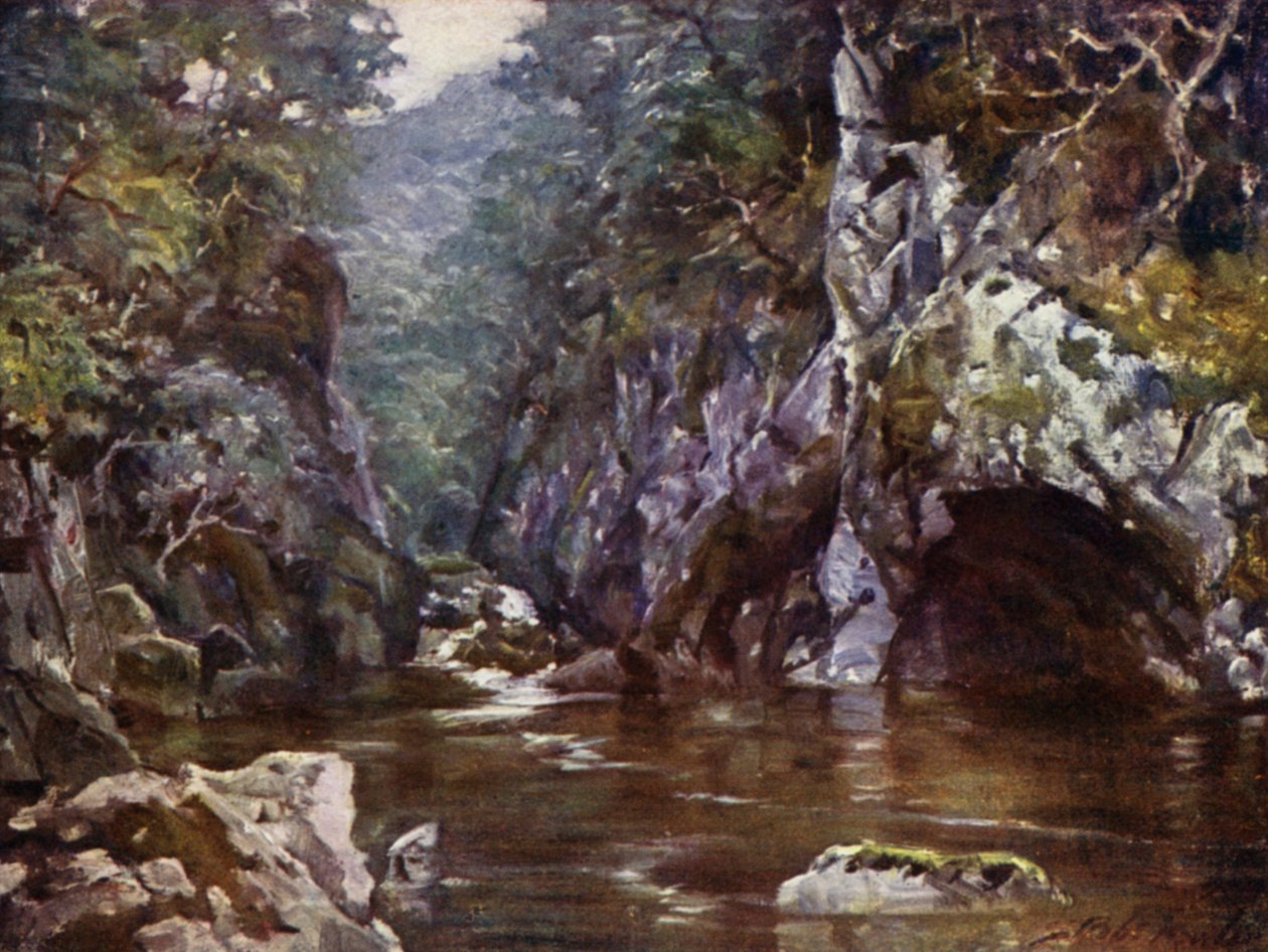 Feen-Schlucht, Bettws-y-Coed (Farblithografie) von Robert (after) Fowler