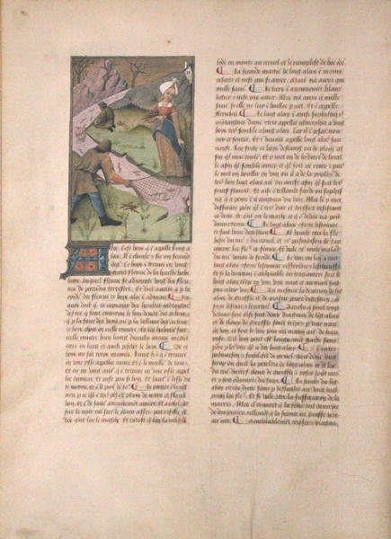 Ms Fr. Fv VI #1 fol. 5v Angeln, Illustration aus Das Buch der einfachen Heilmittel von Matthaeus Platearius (gest. ca. 1161) um 1470 von Robinet Testard