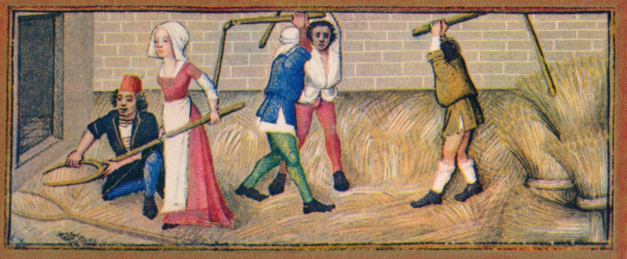 Juli - Dreschen, 15. Jahrhundert von Robinet Testard