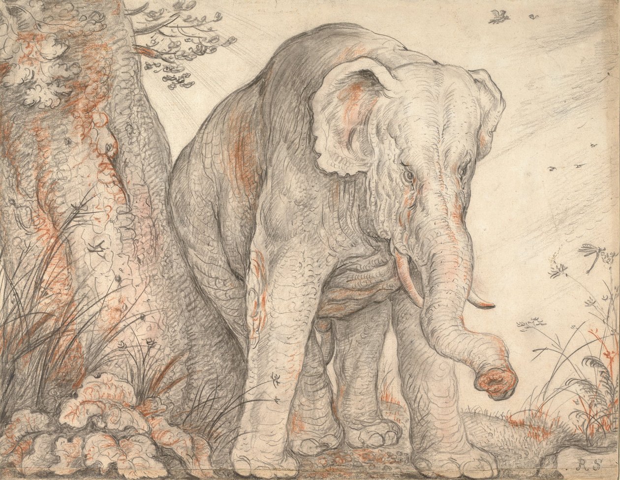 Ein Elefant reibt sich an einem Baum, ca. 1608-1612 von Roelant Saverij