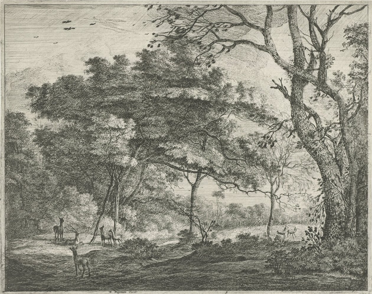 Hirsche im Haagse Bos von Roelant Roghman