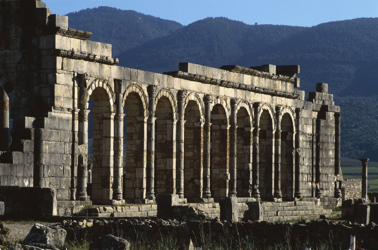 Basilika, 217 n. Chr. von Roman