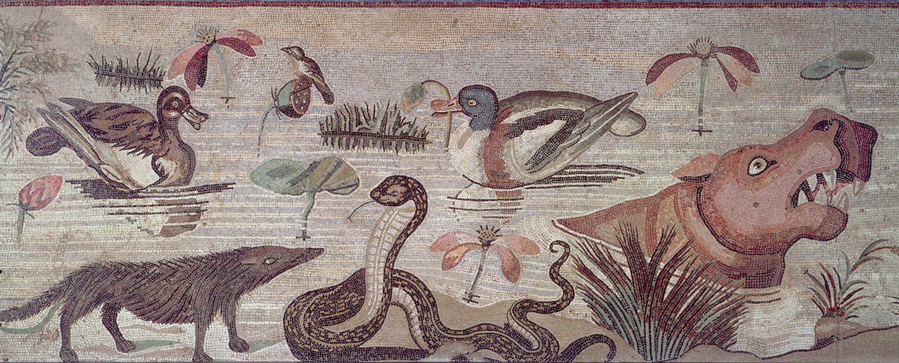 Nilszene, Detail von Enten, einer Schlange und einem Nilpferd, aus dem Casa del Fauno (Haus des Fauns) Pompeji von Roman