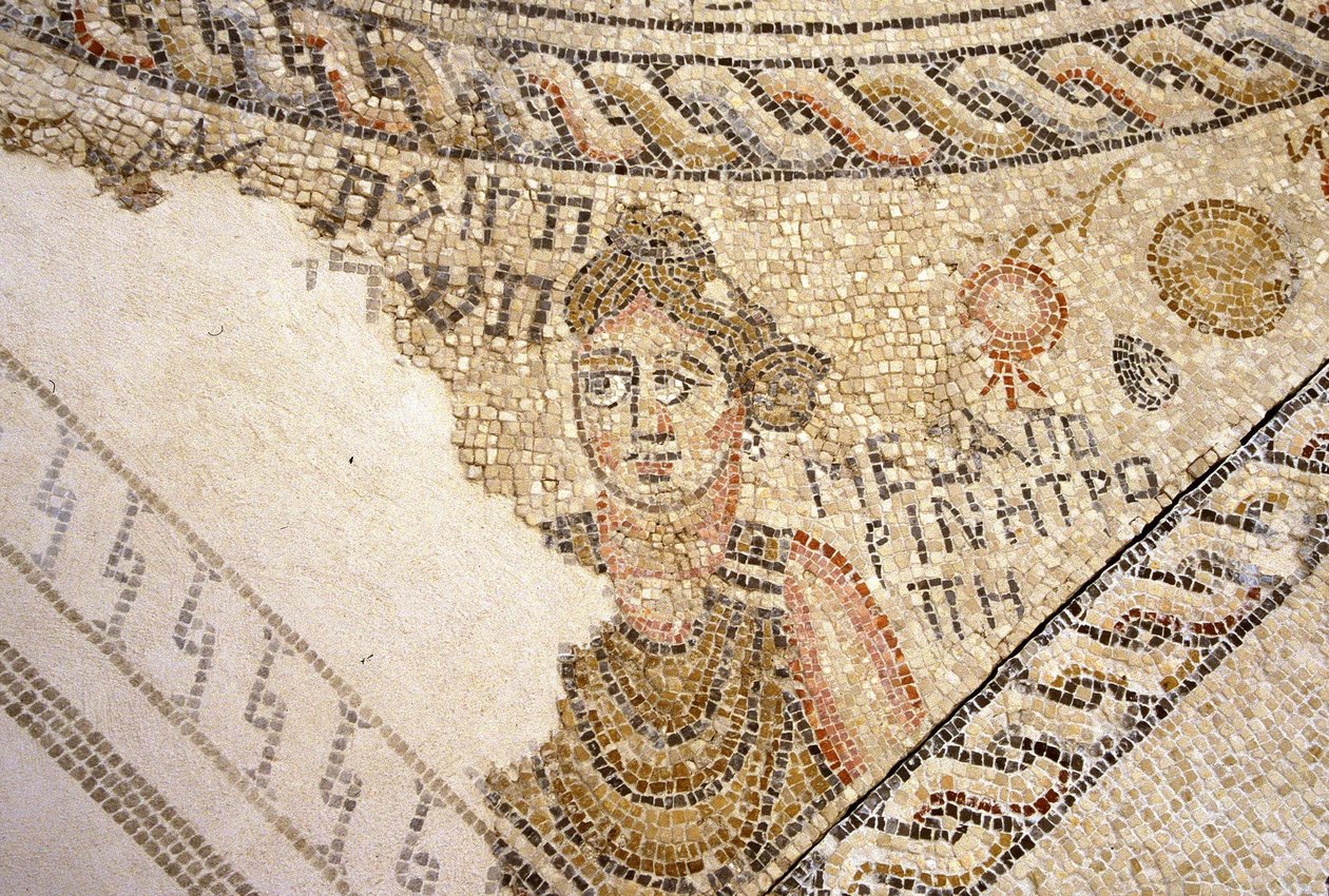 Sepphoris-Mosaik, Tzippori von Roman