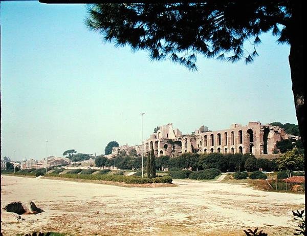Ansicht des Circus Maximus von Roman Roman