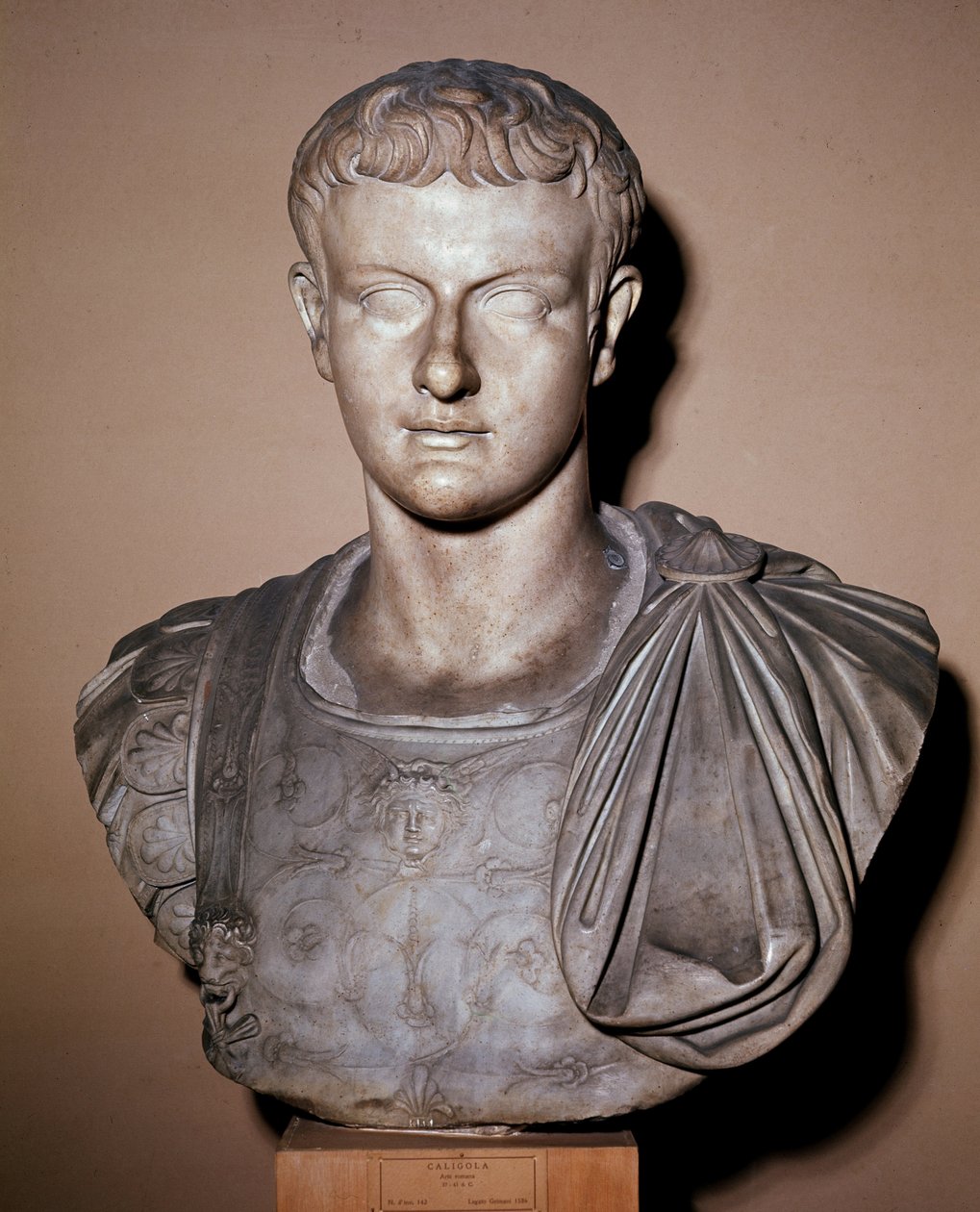 Büste von Caligula von Roman