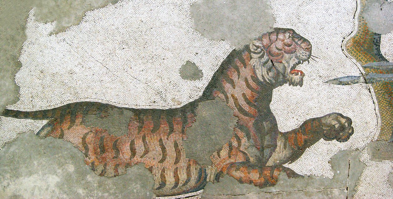 Unbekanntes Bild von Roman