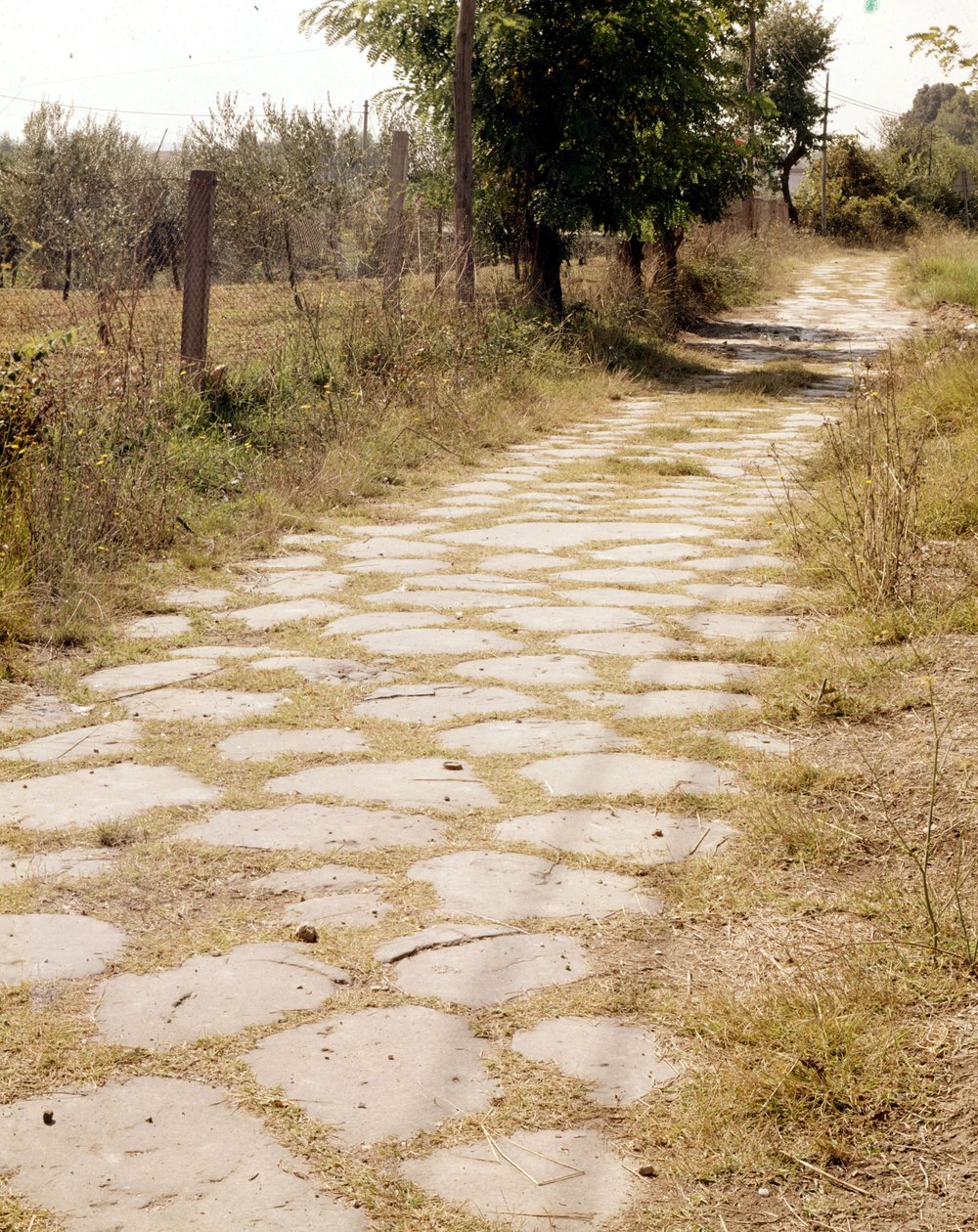 Via Flaminia, Rom von Roman Roman
