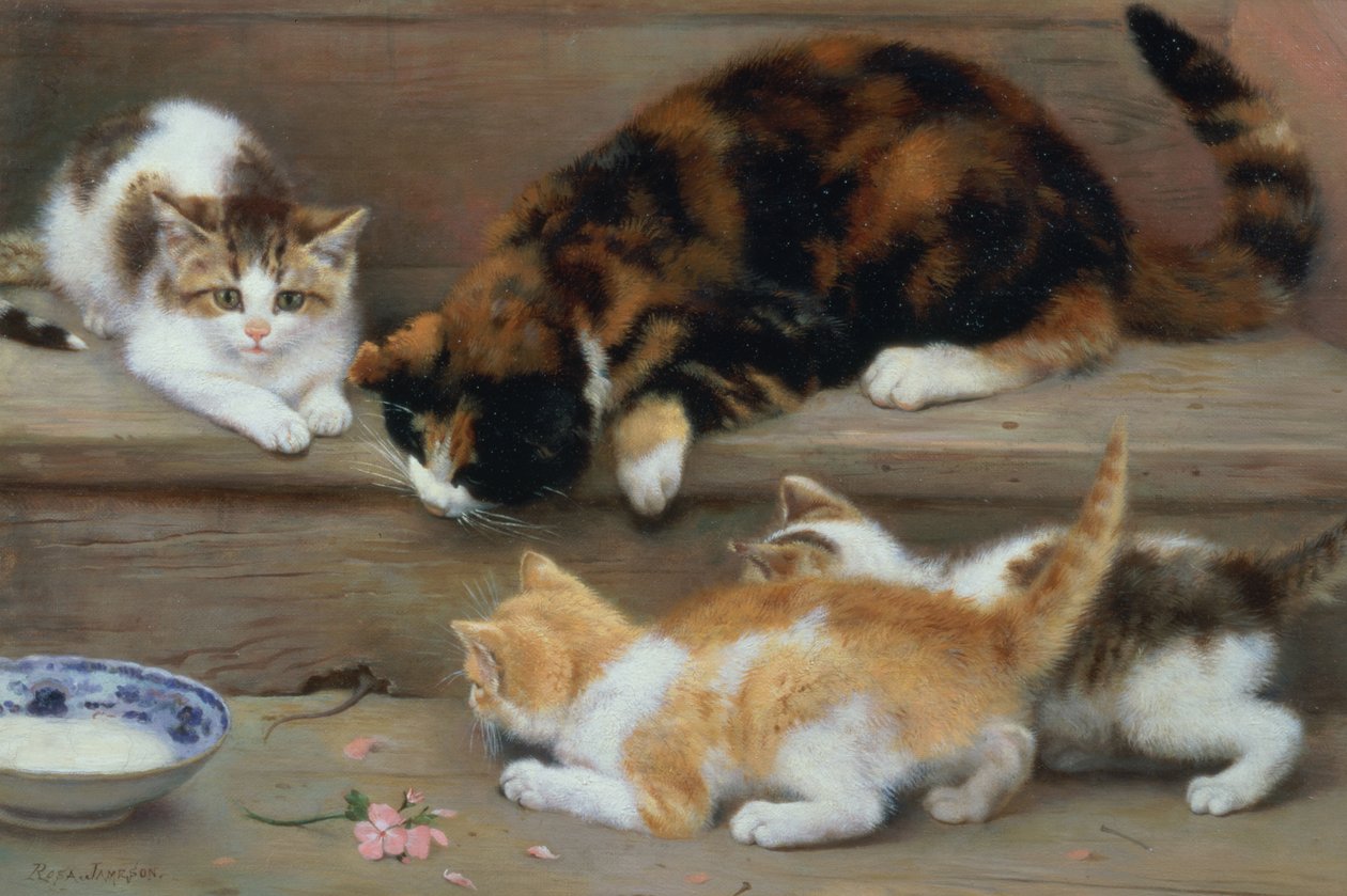 Katze und Kätzchen jagen eine Maus von Rosa Jameson