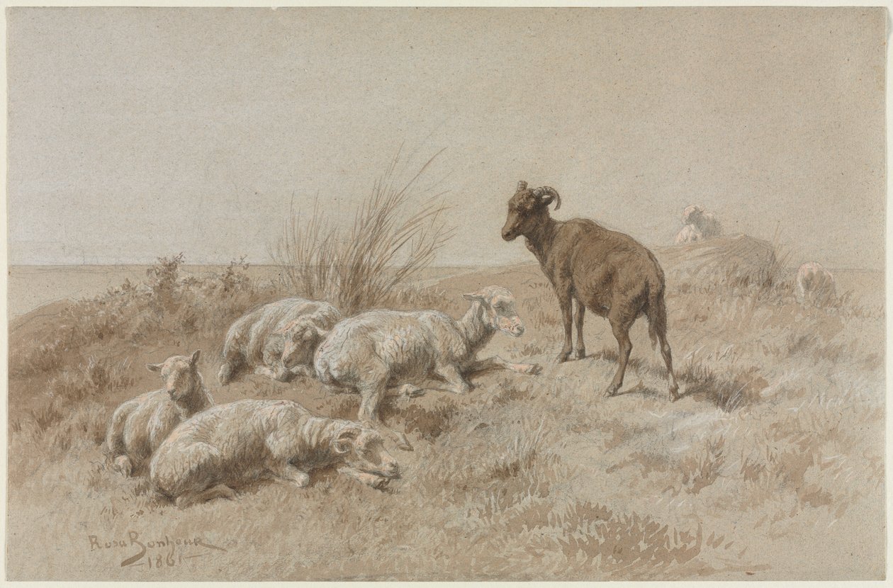 Schafe von Rosa Bonheur