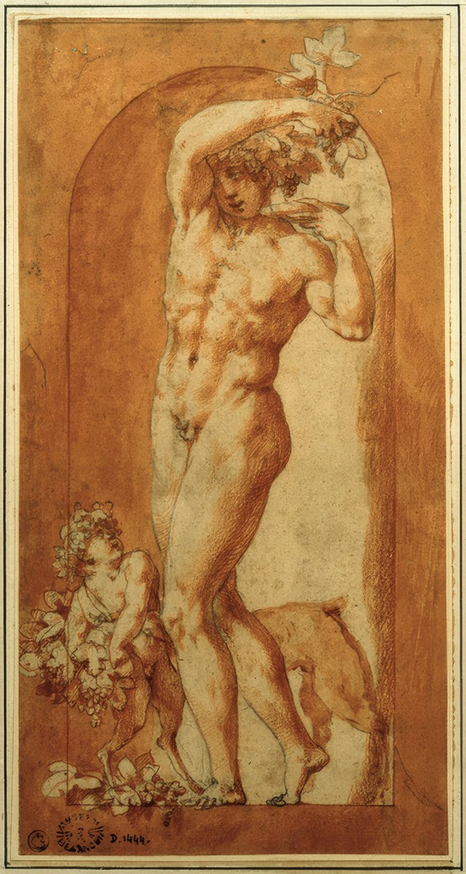 Bacchus in Nische von Rosso Fiorentino