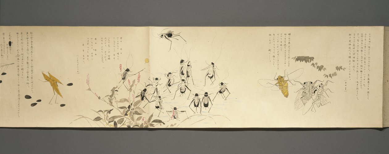 Wildlife Friends (Yasei no Tomo), Taisho-Periode, Taisho 7. Jahr, ca. 1918 von Ryoka Kawakami