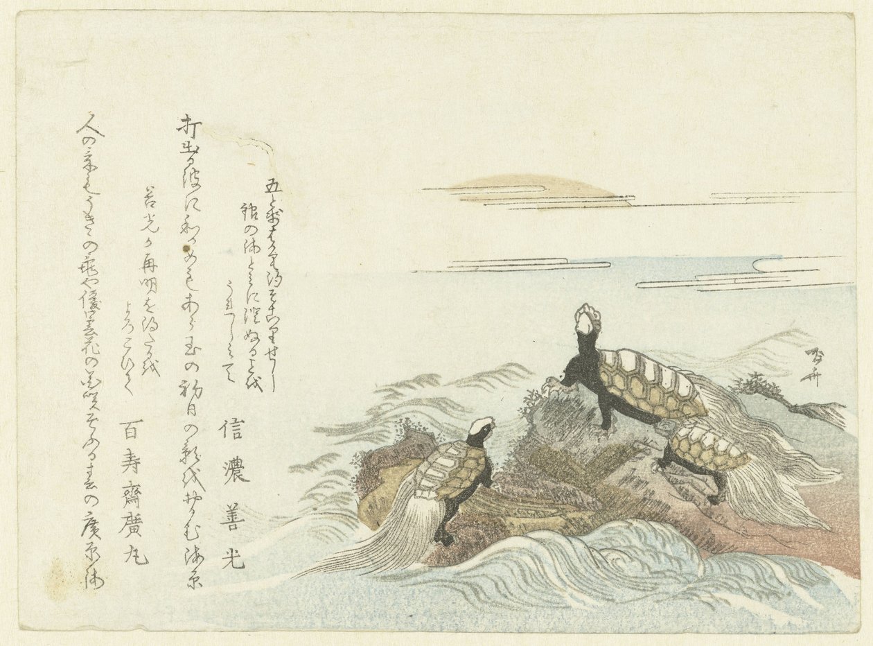 Schildkröten auf einem Felsen von Ryuryukyo Shinsai