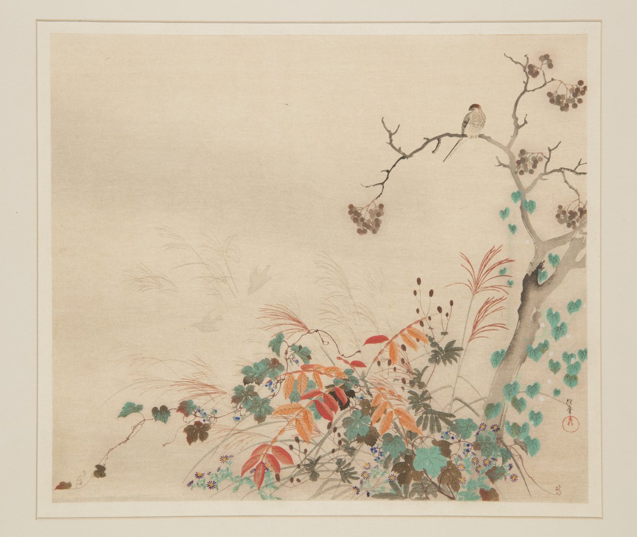 Falke auf Pflanzen von Sakai Hoitsu