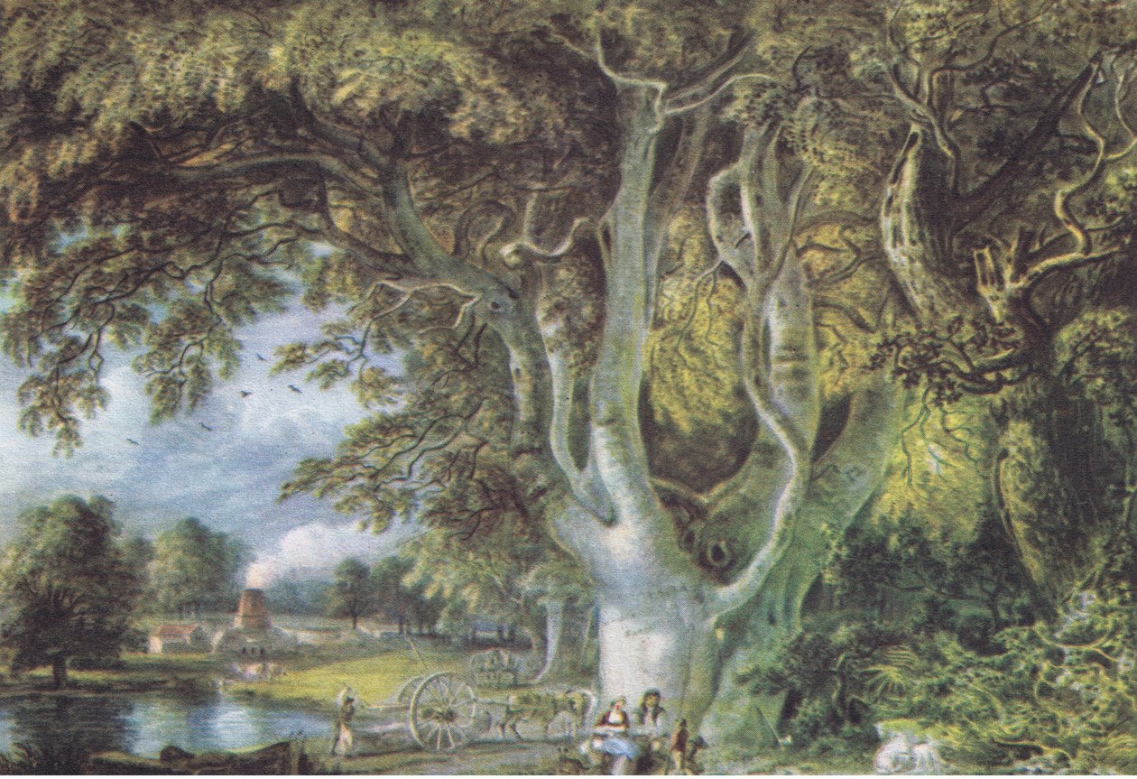 Eichen in Shoreham, Kent, Natur in Großbritannien, veröffentlicht von Collins, 1946 von Samuel Palmer