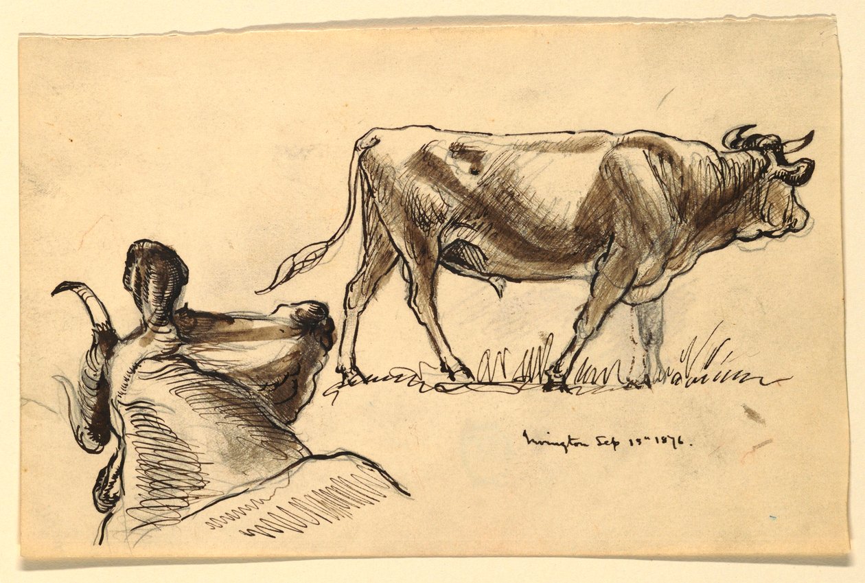 Zeichnung, Skizzen. Rinder, Irvington, September 1876 von Samuel Colman