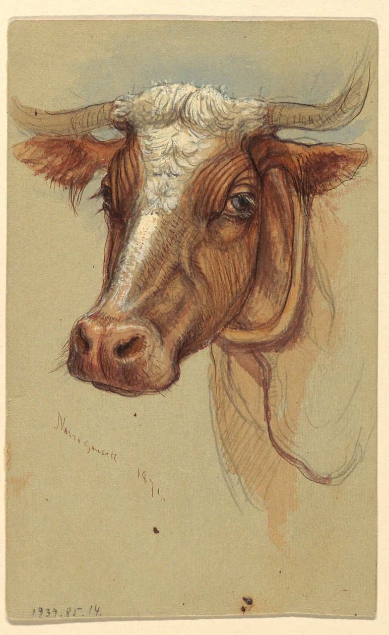 Zeichnung, Skizzen aus Narragansett, Rhode Island, 1871 von Samuel Colman