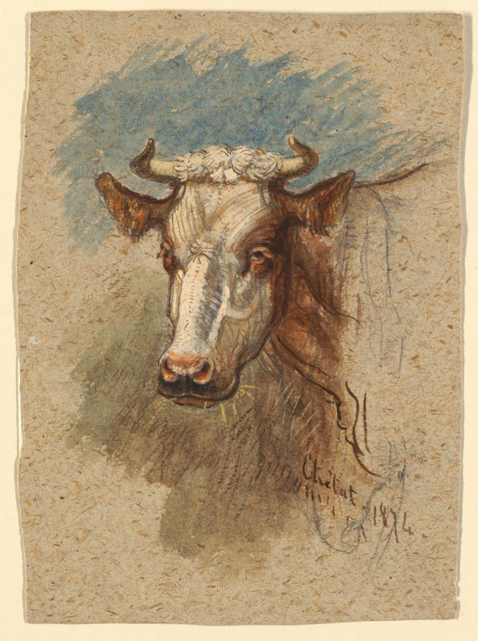 Kopf einer Kuh, Étretat von Samuel Colman