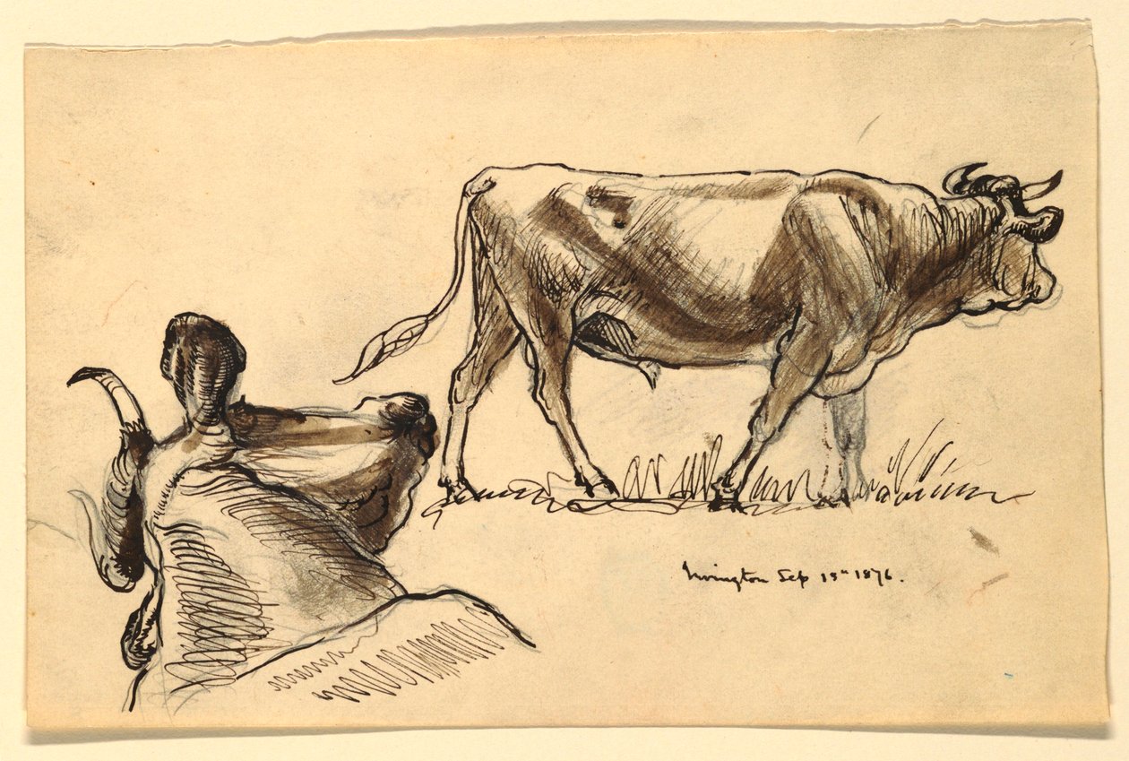 Skizzen von Rindern, Irvington von Samuel Colman
