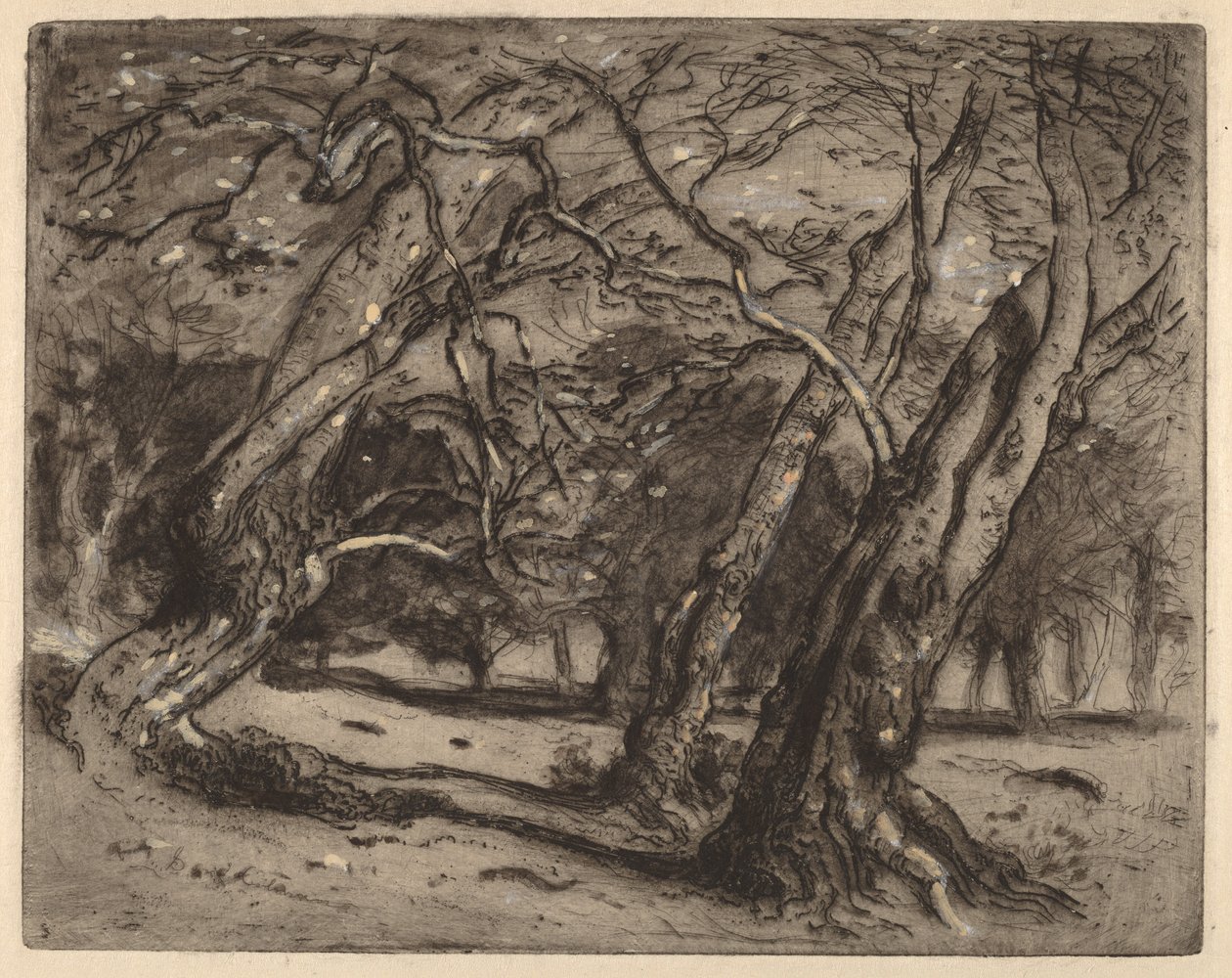 Ohne Titel (Waldlandschaft) von Samuel Colman