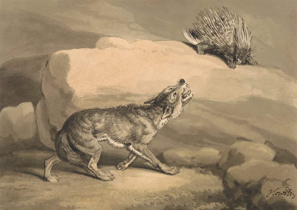 Fuchs und der Igel (Stachelschwein) von Samuel Howitt