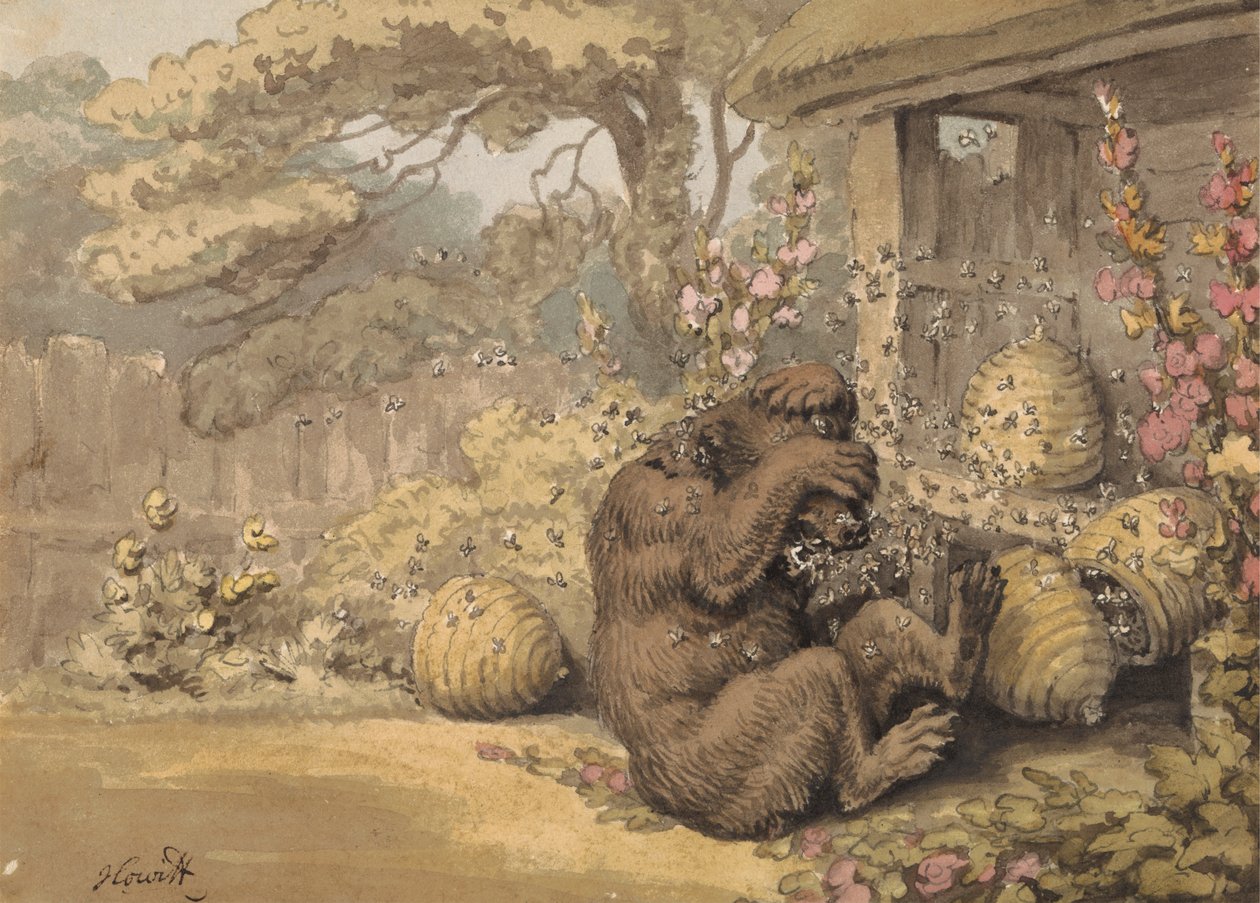 Der Bär und die Bienenstöcke von Samuel Howitt