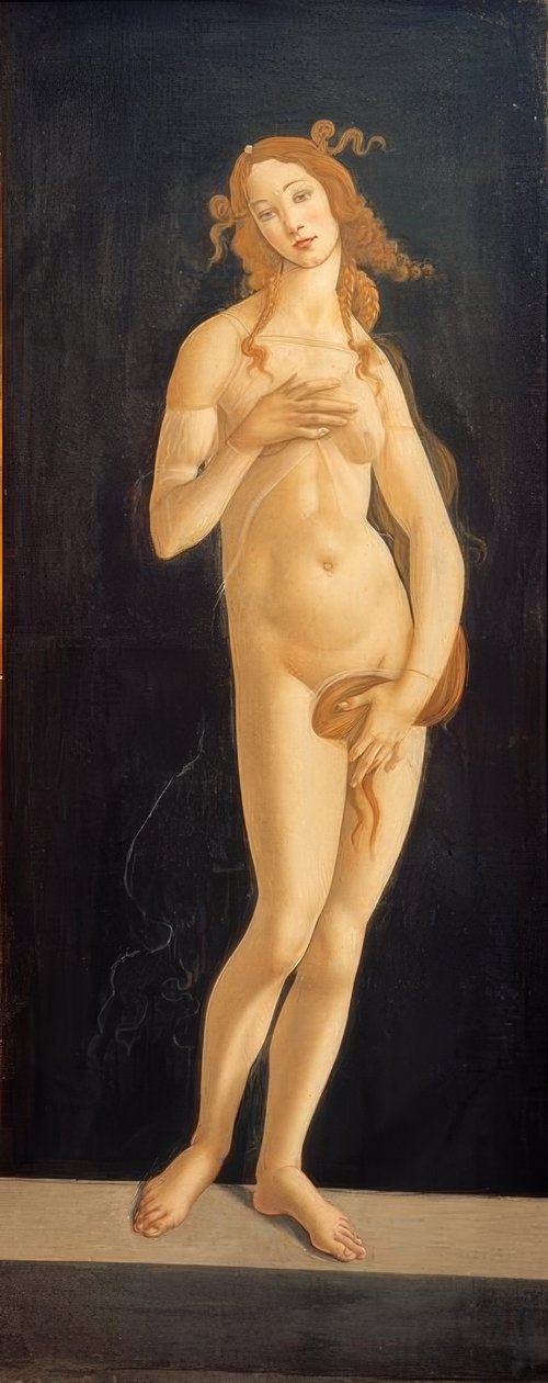 Venus von Sandro Botticelli