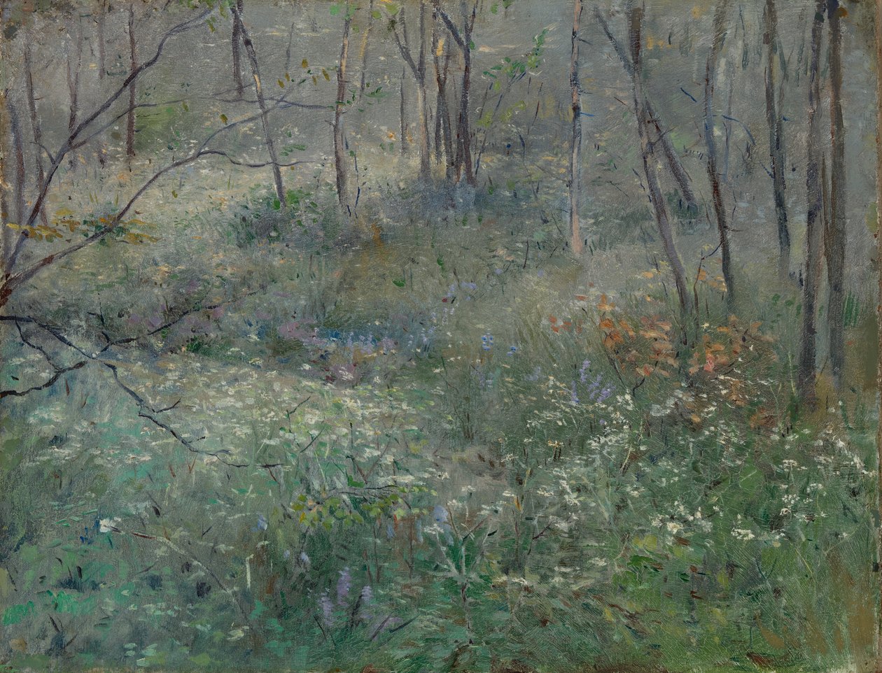 Wilde Petersilie, 1900 von Sarah Paxton Ball Dodson