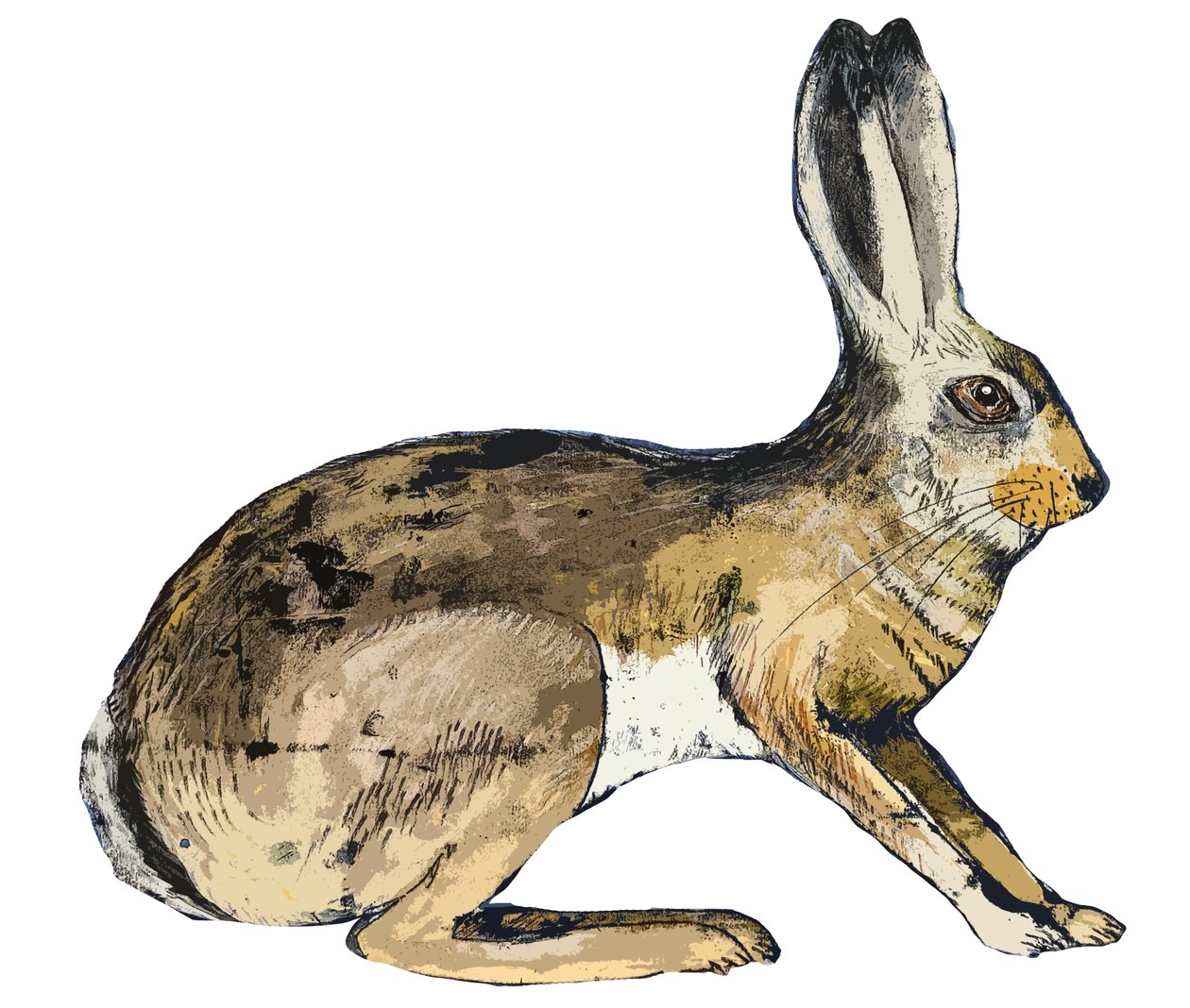 Hase, 2024 von Sarah Thompson Engels