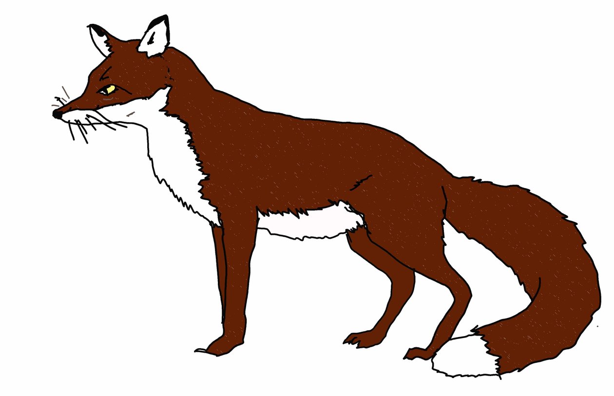Fuchs, 2018 von Sarah Thompson Engels
