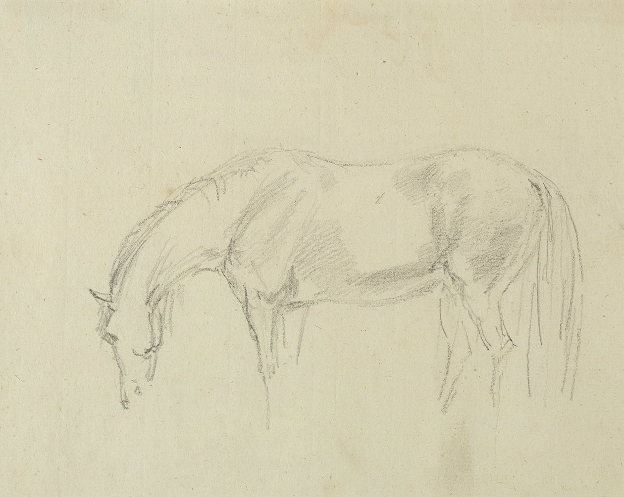 Ein grasendes Pferd von Sawrey Gilpin
