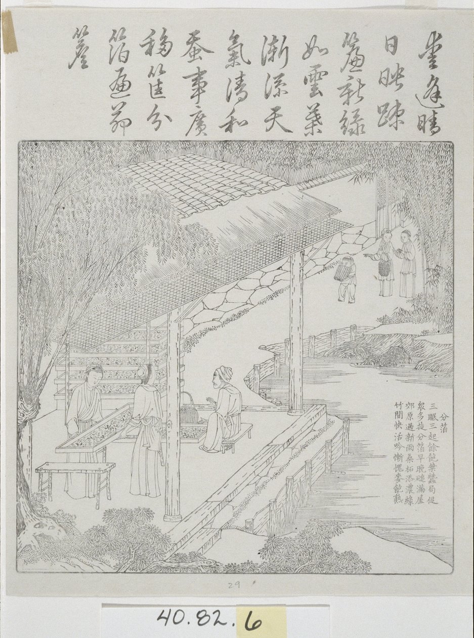 Satz von Holzschnitten, Seidenkultur von School Chinese