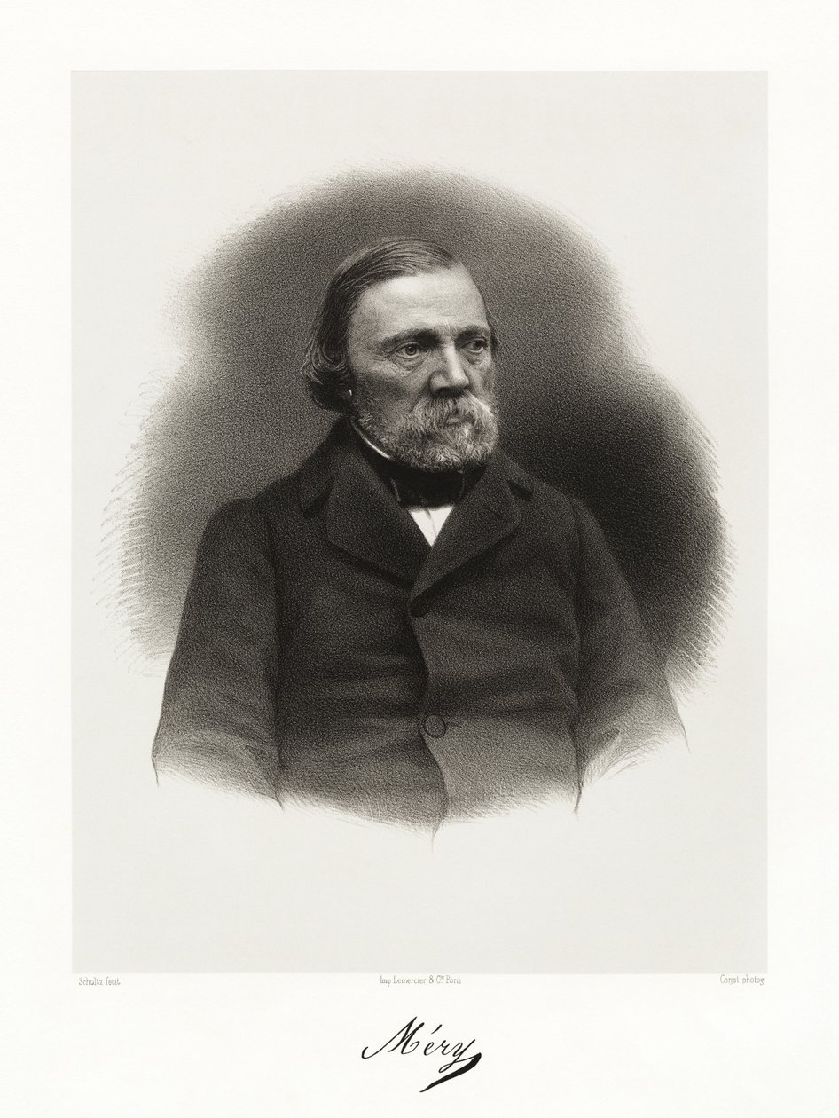 Joseph Méry von Schultz