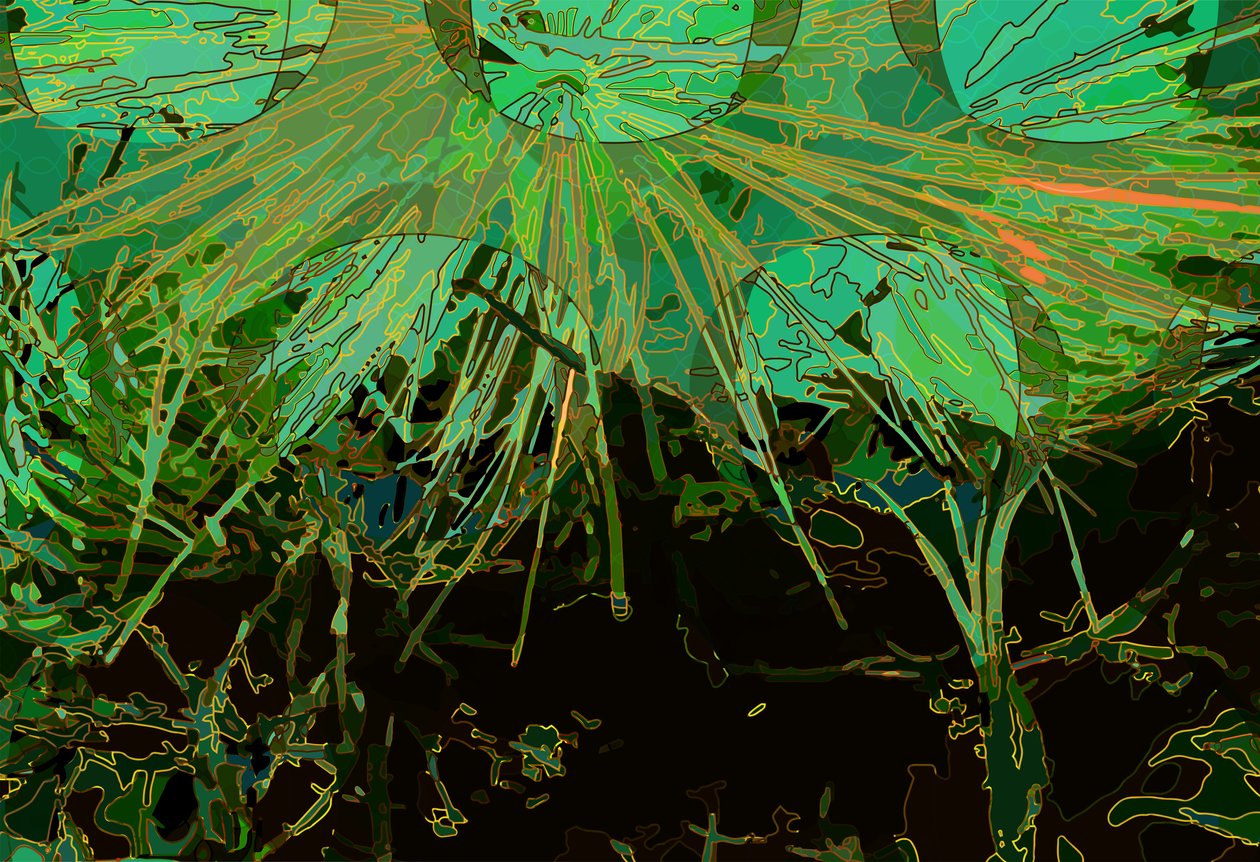 Artischocke_abst_horz2 von Scott J. Davis