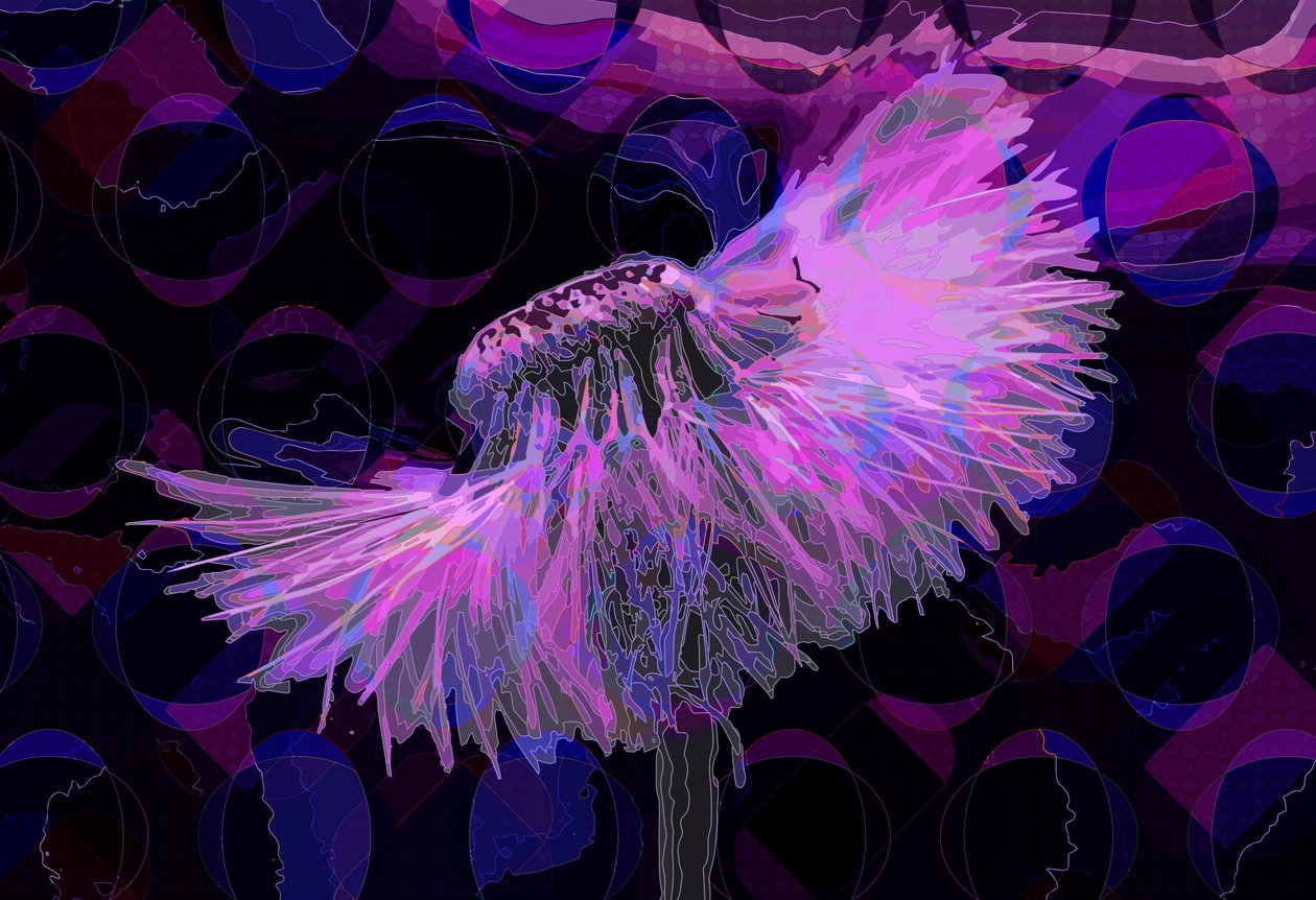 Löwenzahn, 2019 von Scott J. Davis