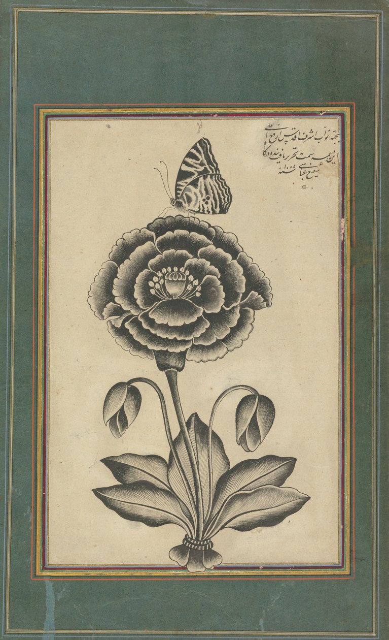 Blume und ein Schmetterling von Shafi