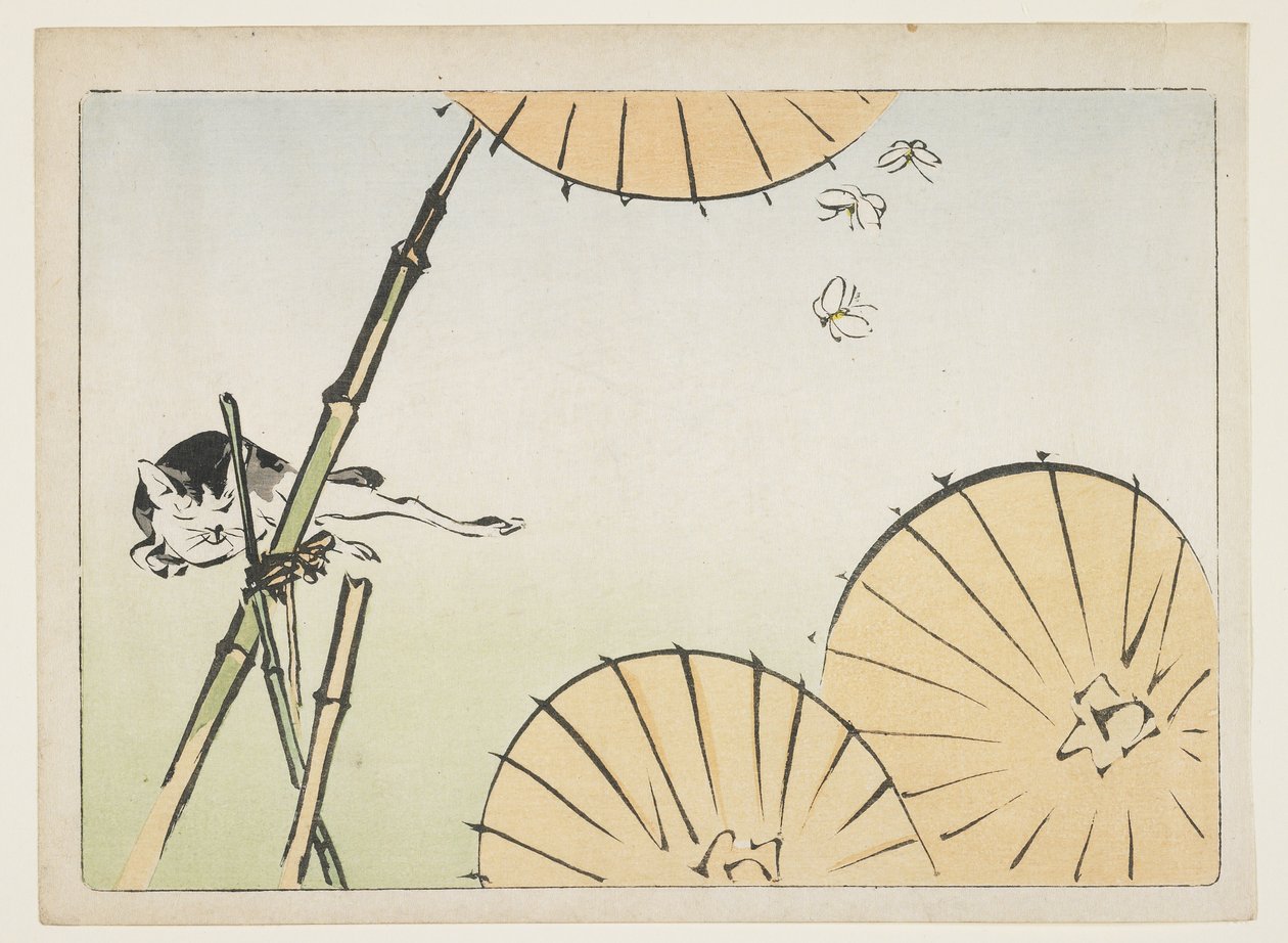 (Bambus, Regenschirme, eine Katze und Schmetterlinge), ca. 1877 von Shibata Zeshin