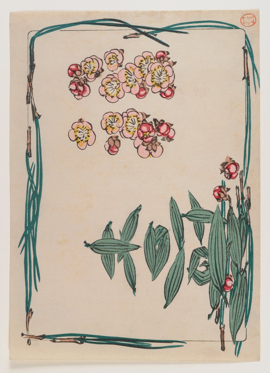 Kirschblüten mit Kiefernnadelrand aus der Serie Hana Kurabe, ca. 1880 von Shibata Zeshin