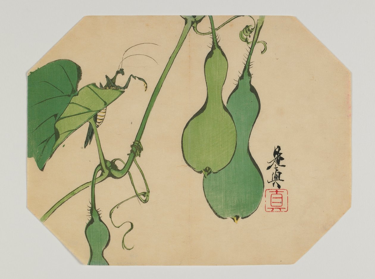 Druck für einen Uchiwa, Kürbisse an einer Rebe mit einer Gottesanbeterin, Meiji-Ära, späte 19. Jahrhundert von Shibata Zeshin
