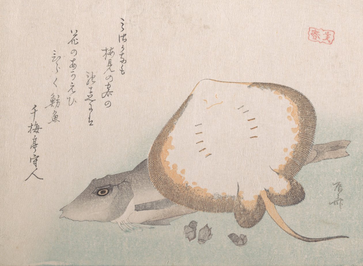 Stachelrochen und Knurrhahn, wahrscheinlich 1815 von Shinsai
