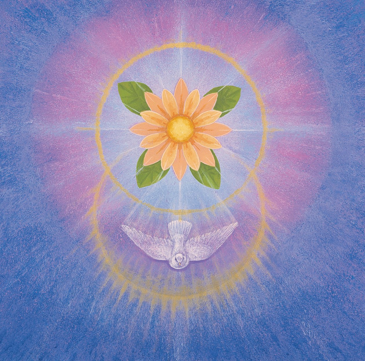 Blume von Simon Cook