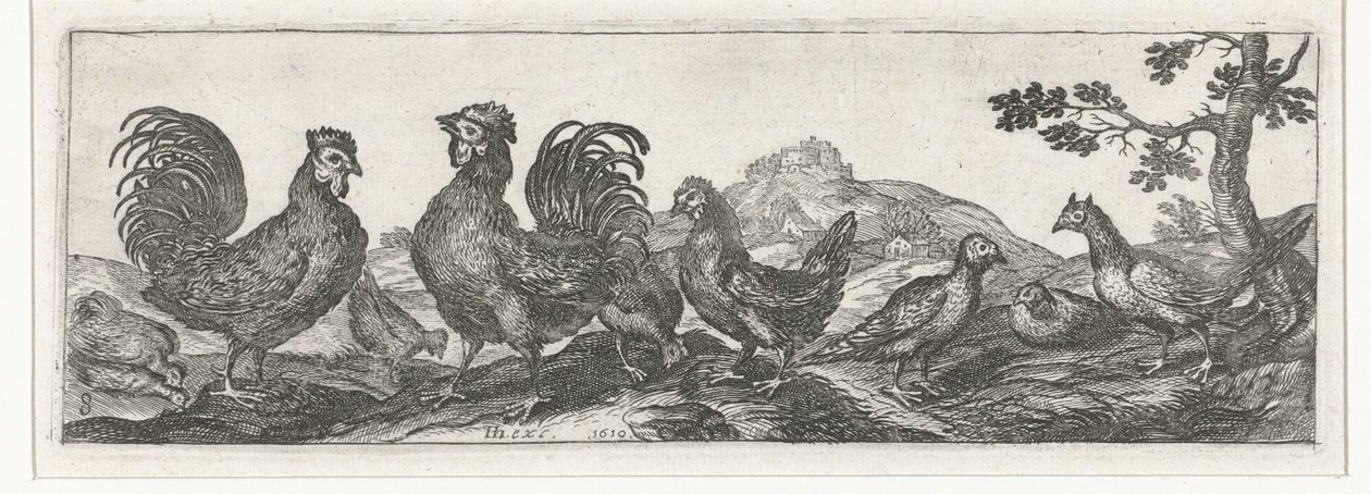 Geflügel von Simon Frisius