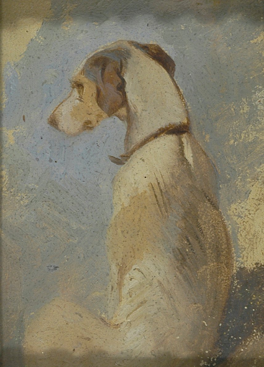 Studie eines Windhundes von Sir Edwin Henry Landseer