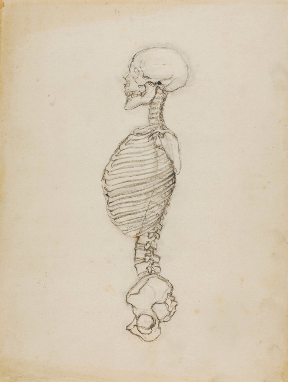 Anatomie von Solon H. Borglum