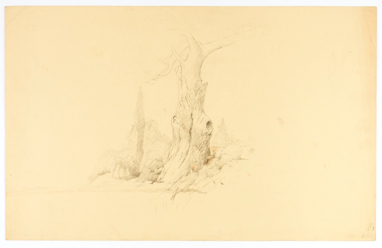 Toter Baum und weidendes Fohlen von Solon H. Borglum