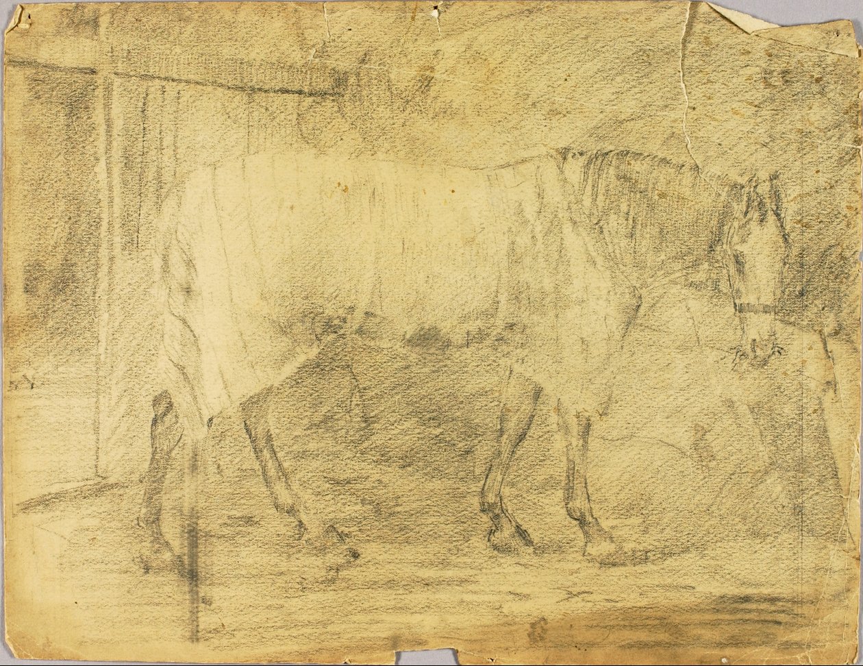 Pferd von Solon H. Borglum