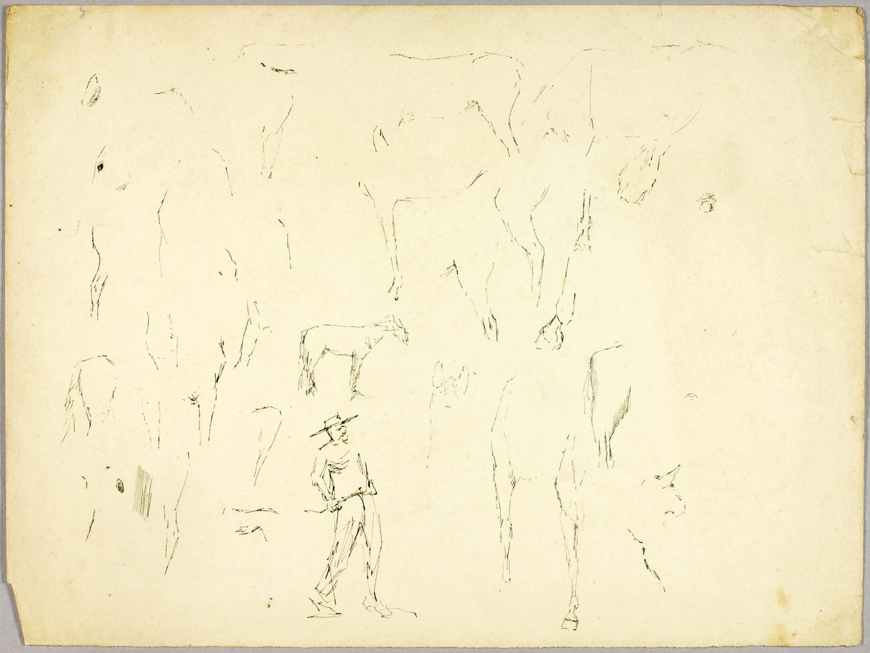 Pferdestudie von Solon H. Borglum