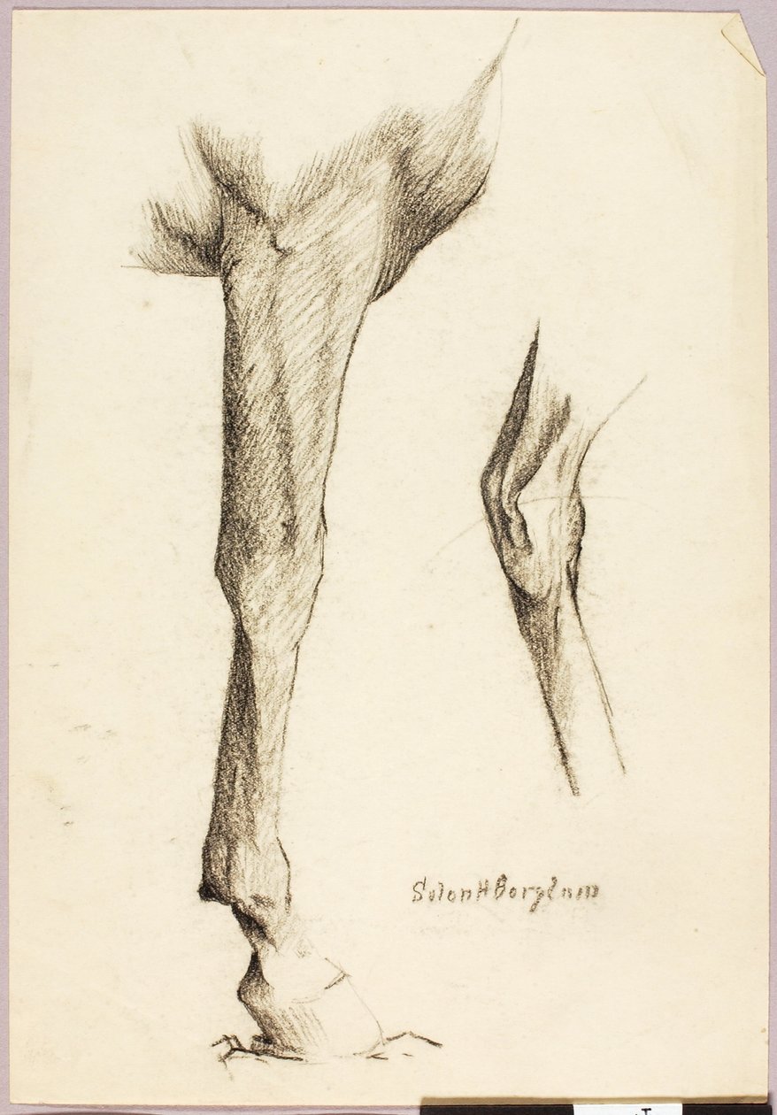 Pferdestudie von Solon H. Borglum